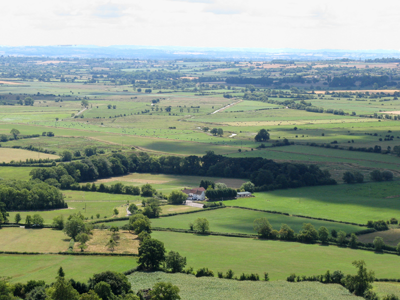 Somerset Levels